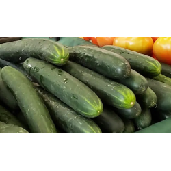 Pepino