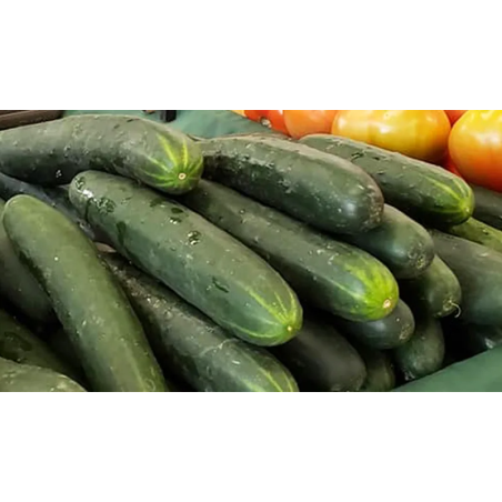 Pepino