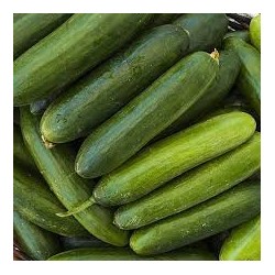 Pepino