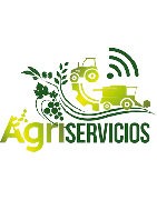 Servicios